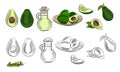 Vector hand drawn avocado and slices set